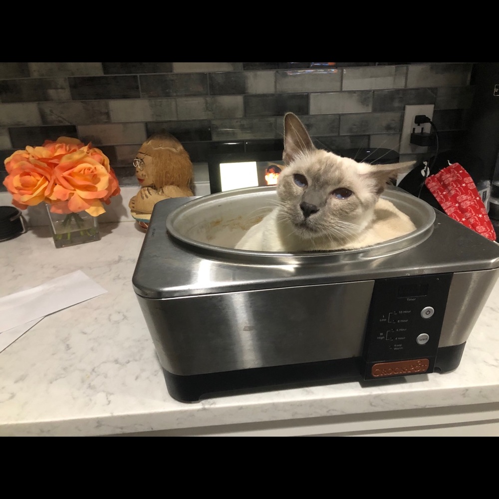 Meet your Posher, Heather